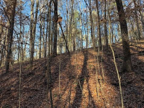 00 Whitepath Road Ellijay GA 30540