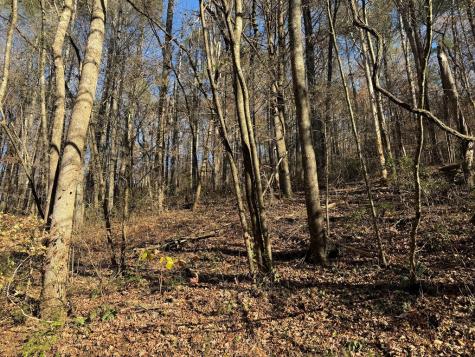 00 Whitepath Road Ellijay GA 30540