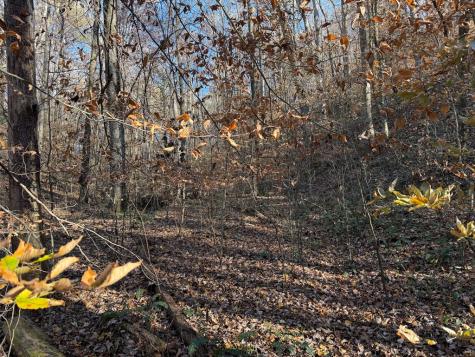 00 Whitepath Road Ellijay GA 30540