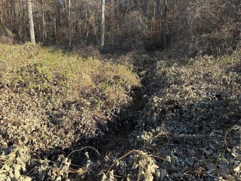 00 Whitepath Road Ellijay GA 30540