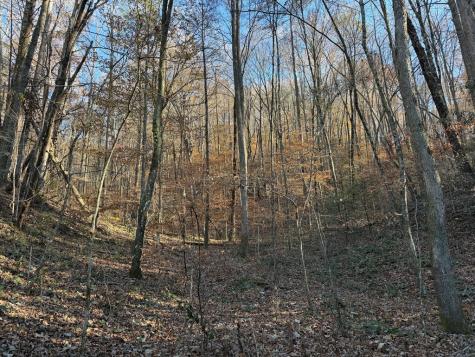 00 Whitepath Road Ellijay GA 30540