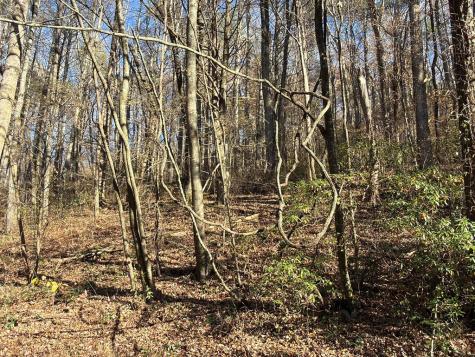 00 Whitepath Road Ellijay GA 30540