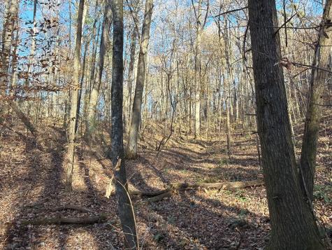 00 Whitepath Road Ellijay GA 30540