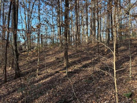 00 Whitepath Road Ellijay GA 30540