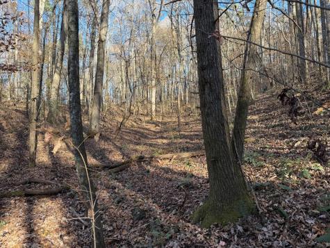 00 Whitepath Road Ellijay GA 30540