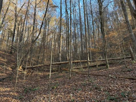 00 Whitepath Road Ellijay GA 30540