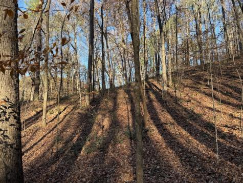 00 Whitepath Road Ellijay GA 30540