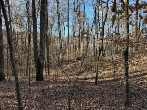 00 Whitepath Road Ellijay GA 30540