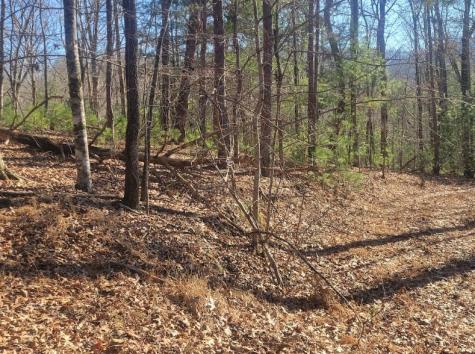 Lot 26 Countryside Lane Hayesville NC 28904