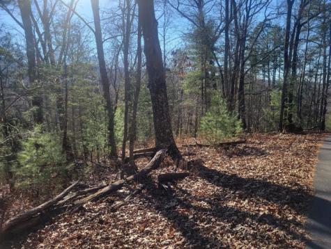 Lot 26 Countryside Lane Hayesville NC 28904