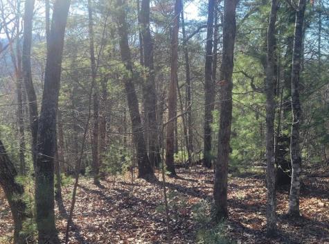 Lot 26 Countryside Lane Hayesville NC 28904