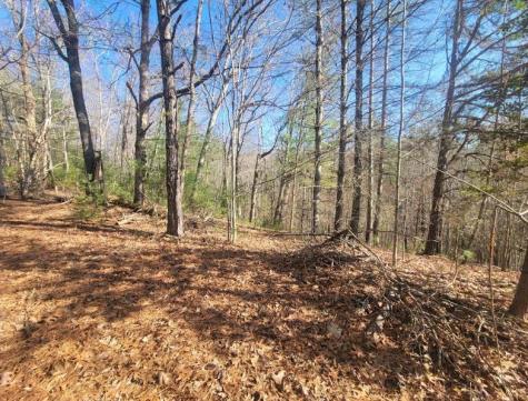 Lot 26 Countryside Lane Hayesville NC 28904