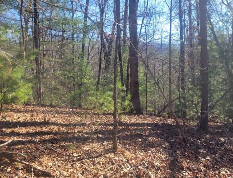 Lot 26 Countryside Lane Hayesville NC 28904