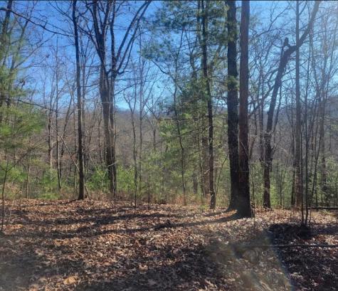 Lot 26 Countryside Lane Hayesville NC 28904
