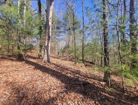 Lot 26 Countryside Lane Hayesville NC 28904