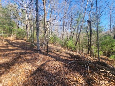 Lot 26 Countryside Lane Hayesville NC 28904