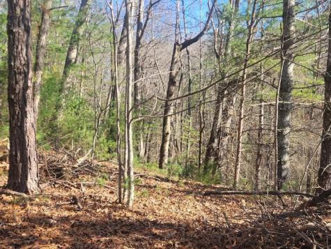 Lot 26 Countryside Lane Hayesville NC 28904