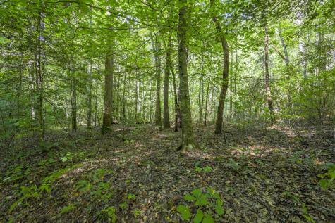 90 Ac Tree House Road Andrews NC 28901