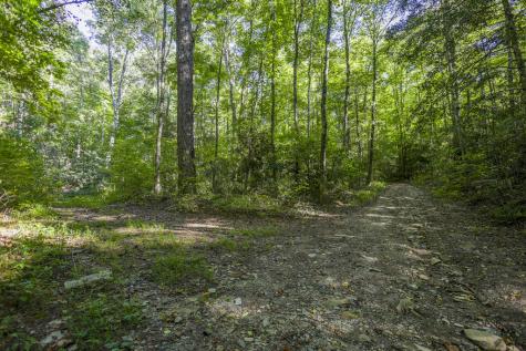 90 Ac Tree House Road Andrews NC 28901