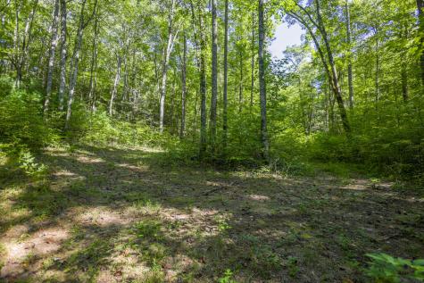90 Ac Tree House Road Andrews NC 28901