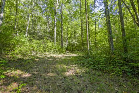 90 Ac Tree House Road Andrews NC 28901