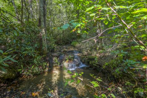 90 Ac Tree House Road Andrews NC 28901