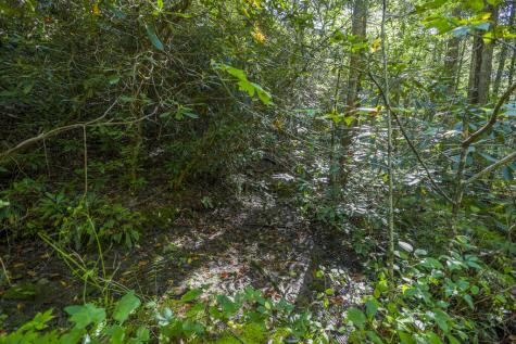 90 Ac Tree House Road Andrews NC 28901