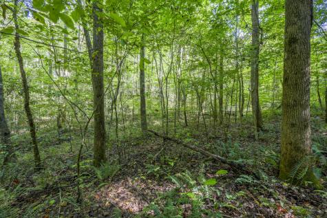 90 Ac Tree House Road Andrews NC 28901