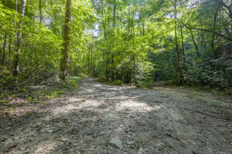 90 Ac Tree House Road Andrews NC 28901