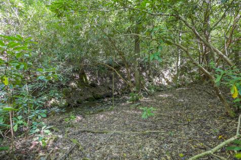 90 Ac Tree House Road Andrews NC 28901