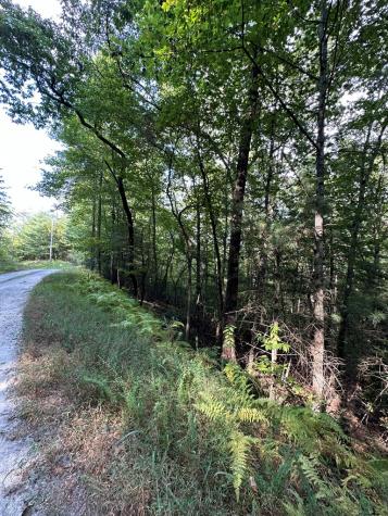 Tract 2 Kyle-arp Blue Ridge GA 30513