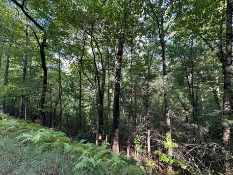 Tract 2 Kyle-arp Blue Ridge GA 30513