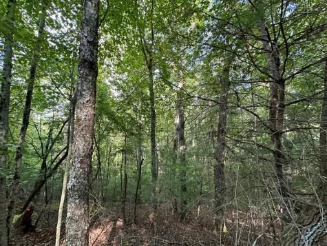 Tract 2 Kyle-arp Blue Ridge GA 30513