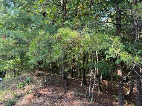 Tract 2 Kyle-arp Blue Ridge GA 30513