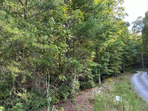 Tract 2 Kyle-arp Blue Ridge GA 30513