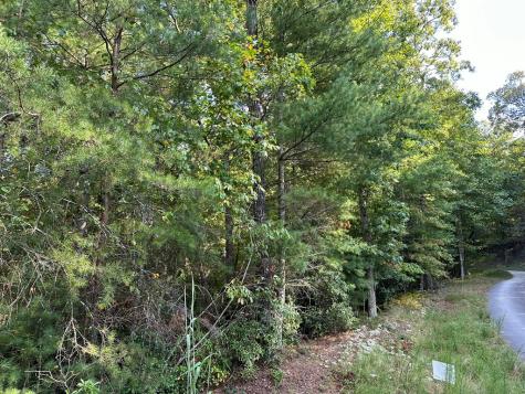 Tract 2 Kyle-arp Blue Ridge GA 30513