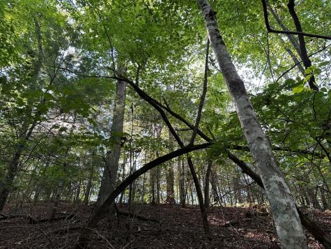 Tract 2 Kyle-arp Blue Ridge GA 30513