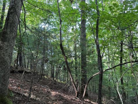 Tract 2 Kyle-arp Blue Ridge GA 30513