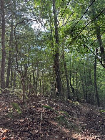 Tract 2 Kyle-arp Blue Ridge GA 30513