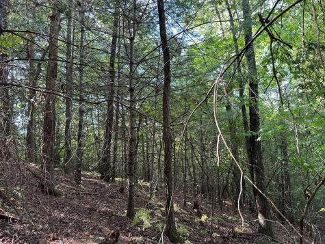 Tract 2 Kyle-arp Blue Ridge GA 30513