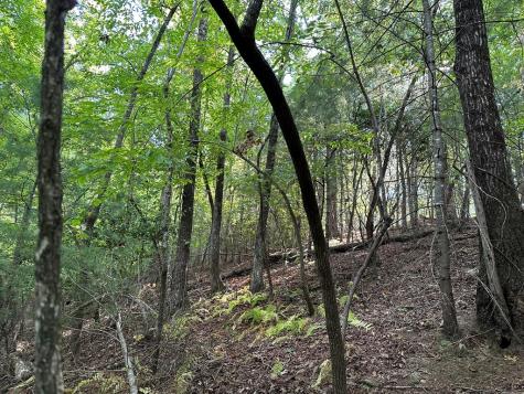 Tract 2 Kyle-arp Blue Ridge GA 30513