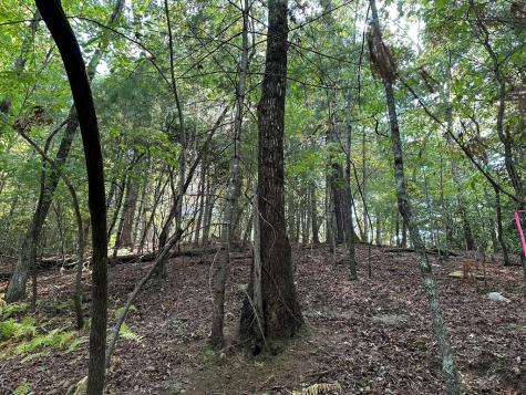 Tract 2 Kyle-arp Blue Ridge GA 30513