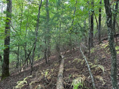 Tract 2 Kyle-arp Blue Ridge GA 30513