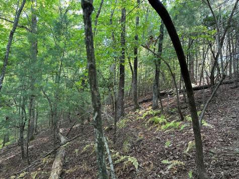 Tract 2 Kyle-arp Blue Ridge GA 30513