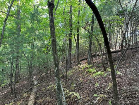 Tract 2 Kyle-arp Blue Ridge GA 30513