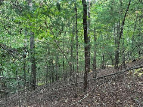 Tract 2 Kyle-arp Blue Ridge GA 30513