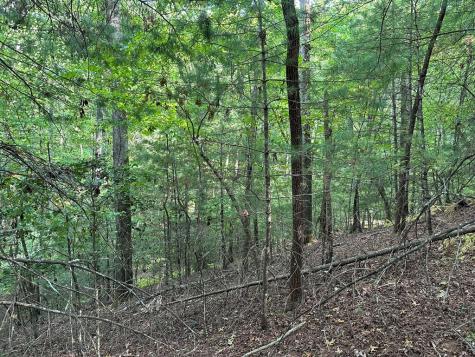 Tract 2 Kyle-arp Blue Ridge GA 30513