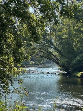 Tract 2 Kyle-arp Blue Ridge GA 30513