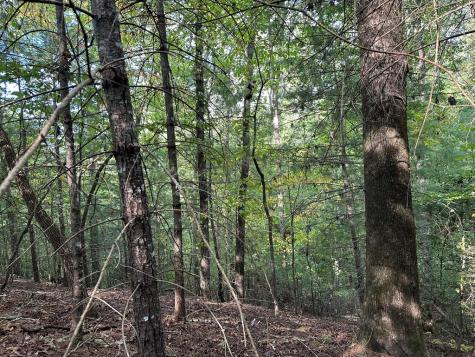 Tract 2 Kyle-arp Blue Ridge GA 30513