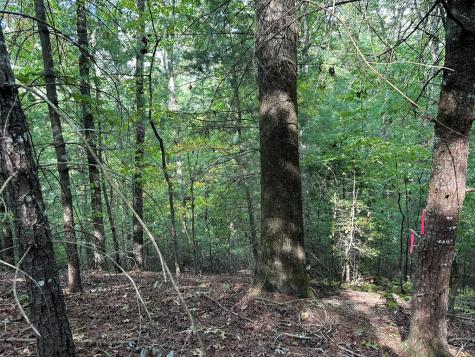 Tract 2 Kyle-arp Blue Ridge GA 30513